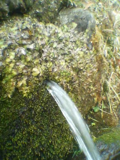 画像2: 九州熊本の天然水 阿蘇のメイスイ ワンウェイガロンボトル12L 1箱（2本） for北陸